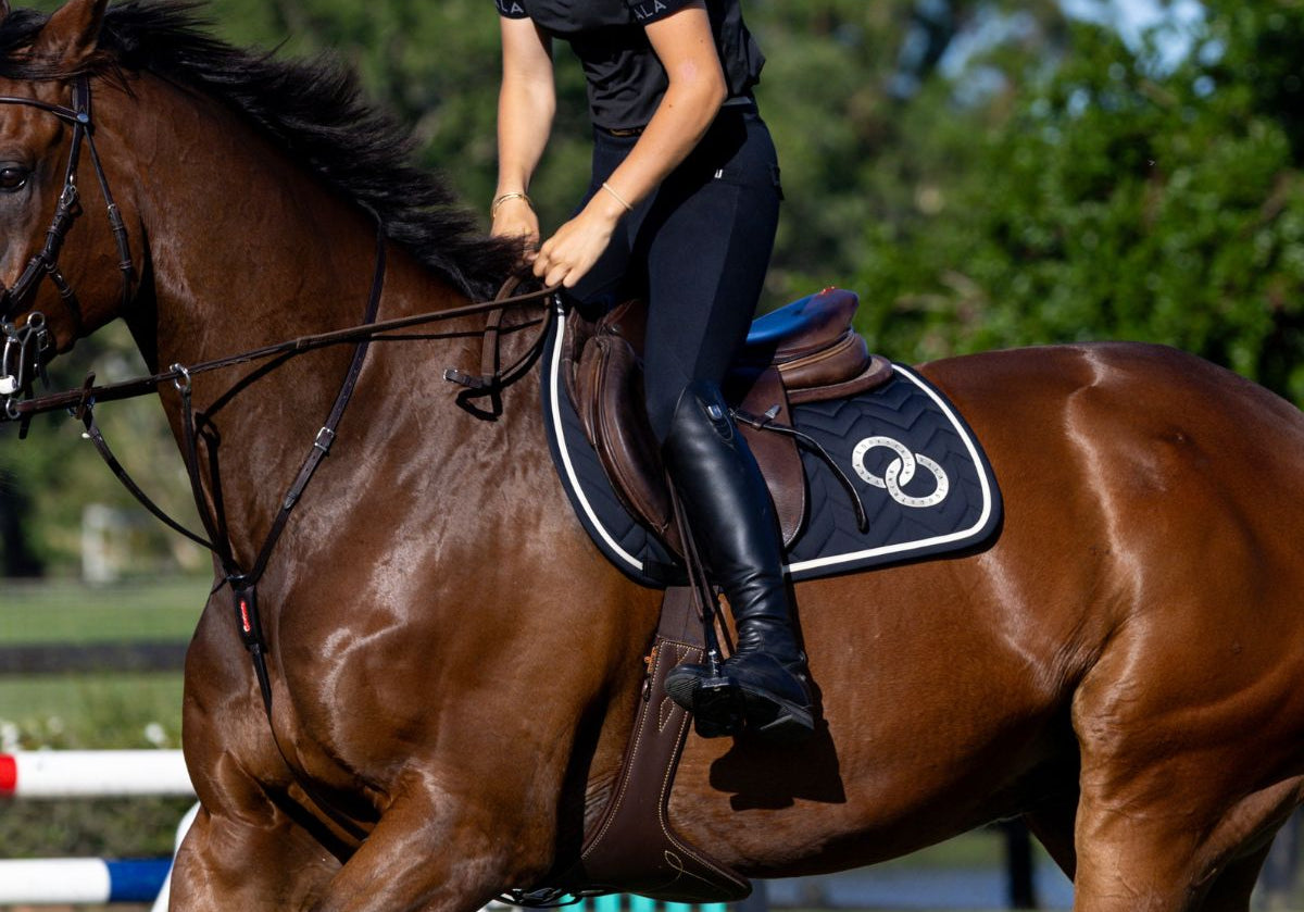 VALA Super Luxe Jump Saddle Pad in Black for riding competitions