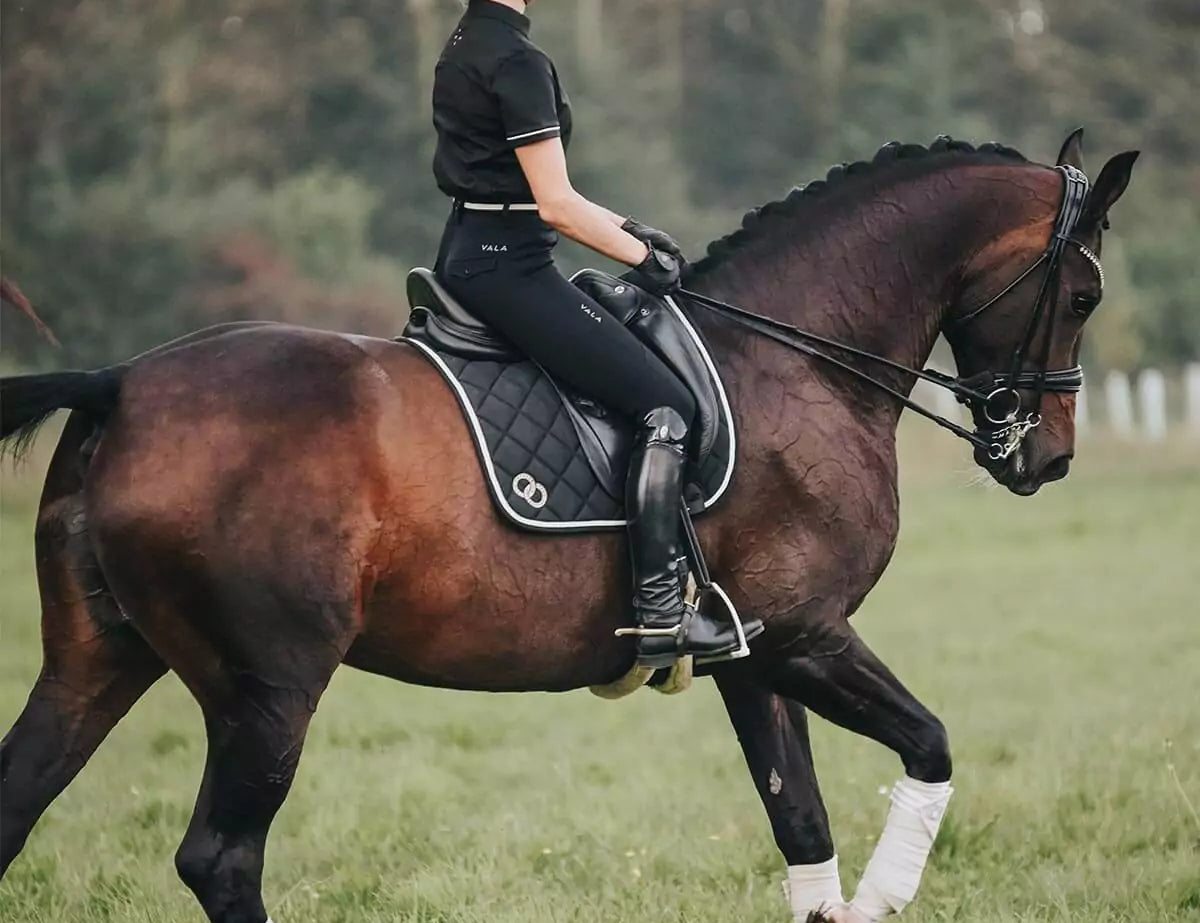 Woman riding a horse in black eventing wear 