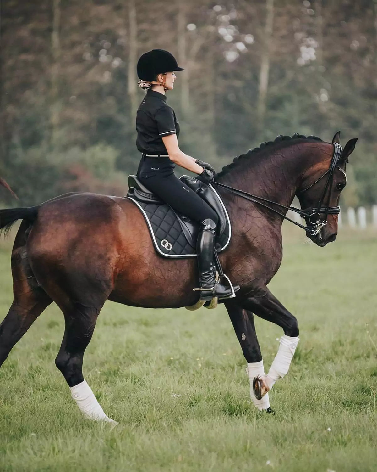 Woman riding a horse in black eventing wear 